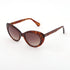 Cambered  Cat Eye Acetate Women's Sunglasses 21A8088